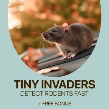 Home Rodent Signs: A Printable Checklist for Early Detection
