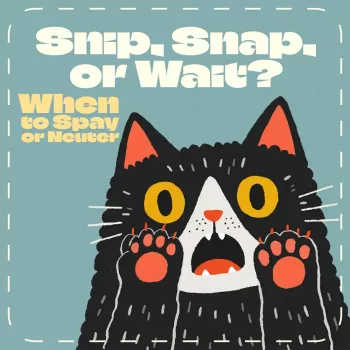 Spay/Neuter Timing: Before or After First Heat?